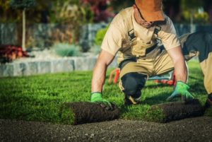 WV Nursery & Landscape Association offers Landscape Technician Bootcamp